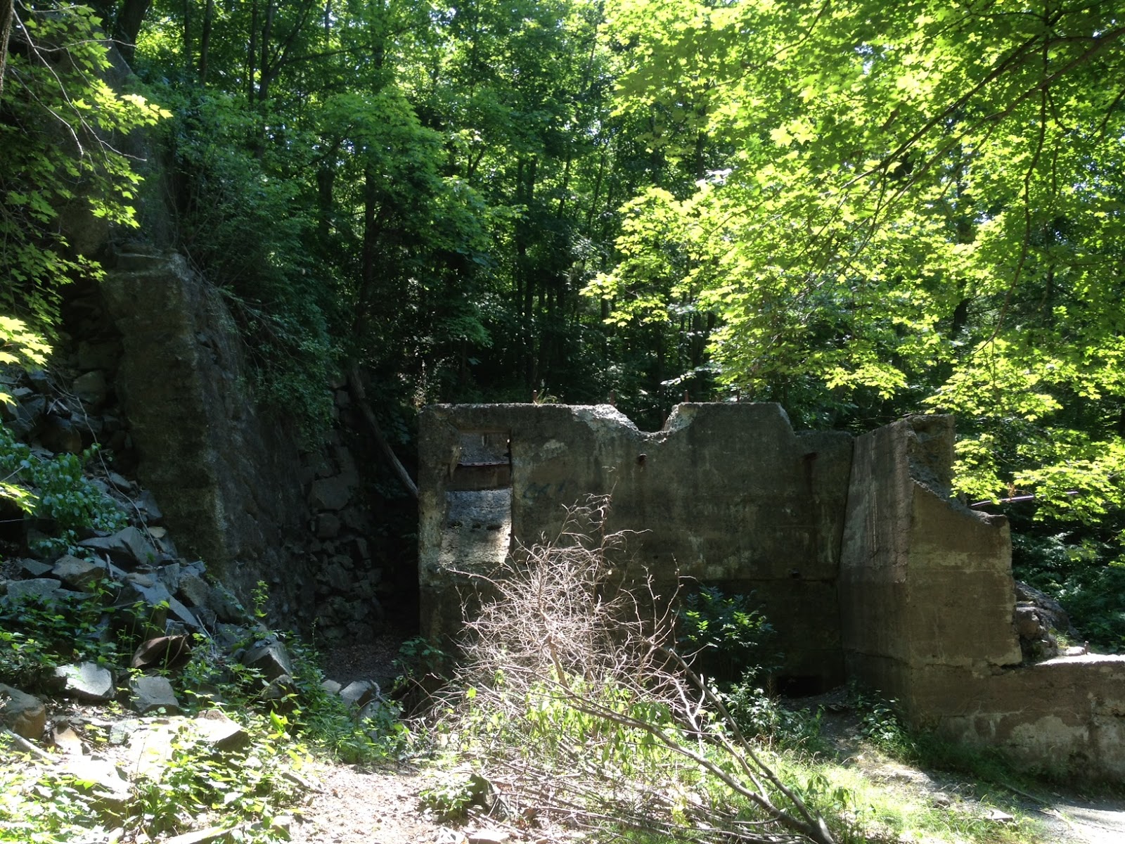 Sleeping Giant Violet trail Transcending Mountains