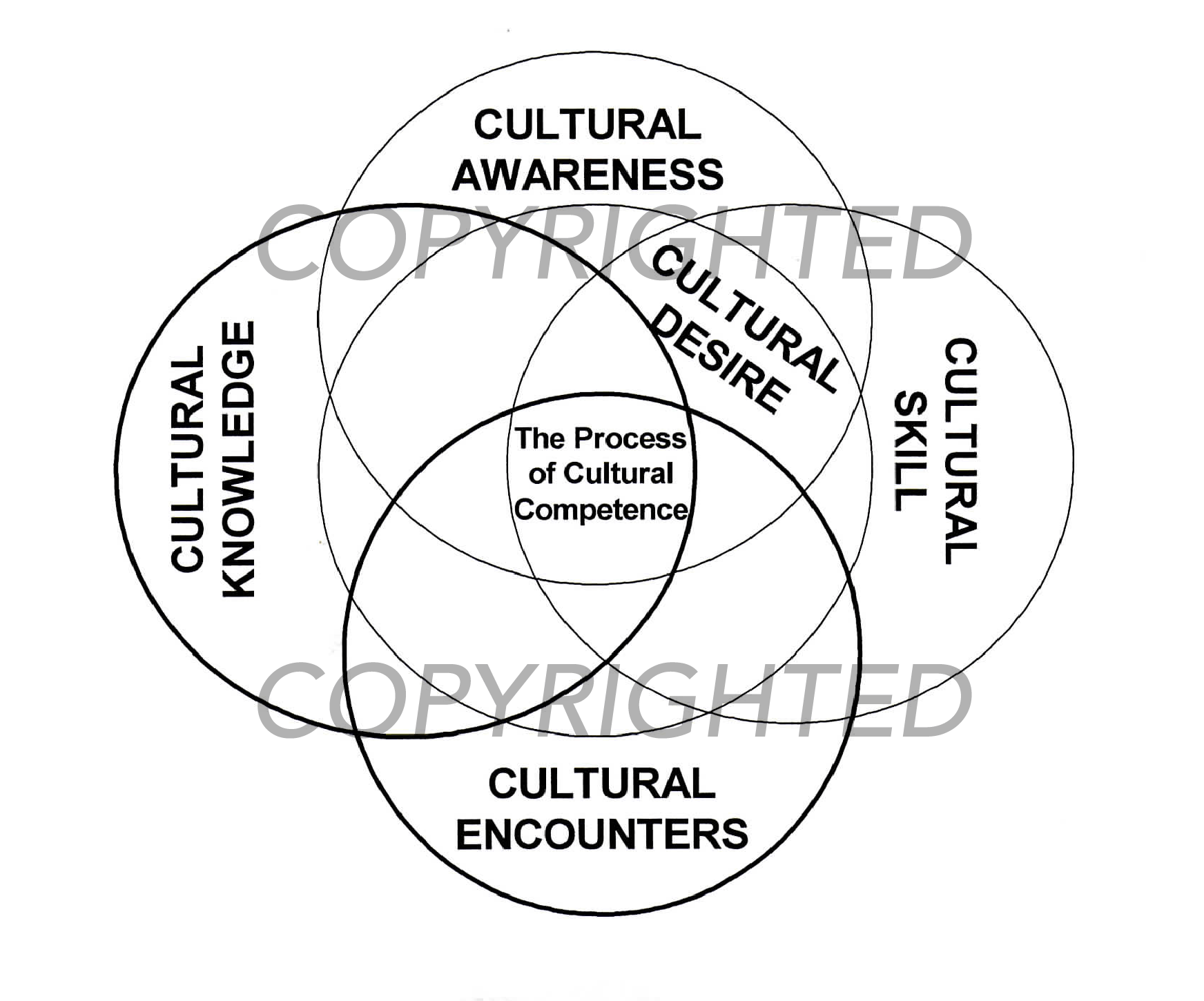 The Process of Cultural Competence in the Delivery of Healthcare