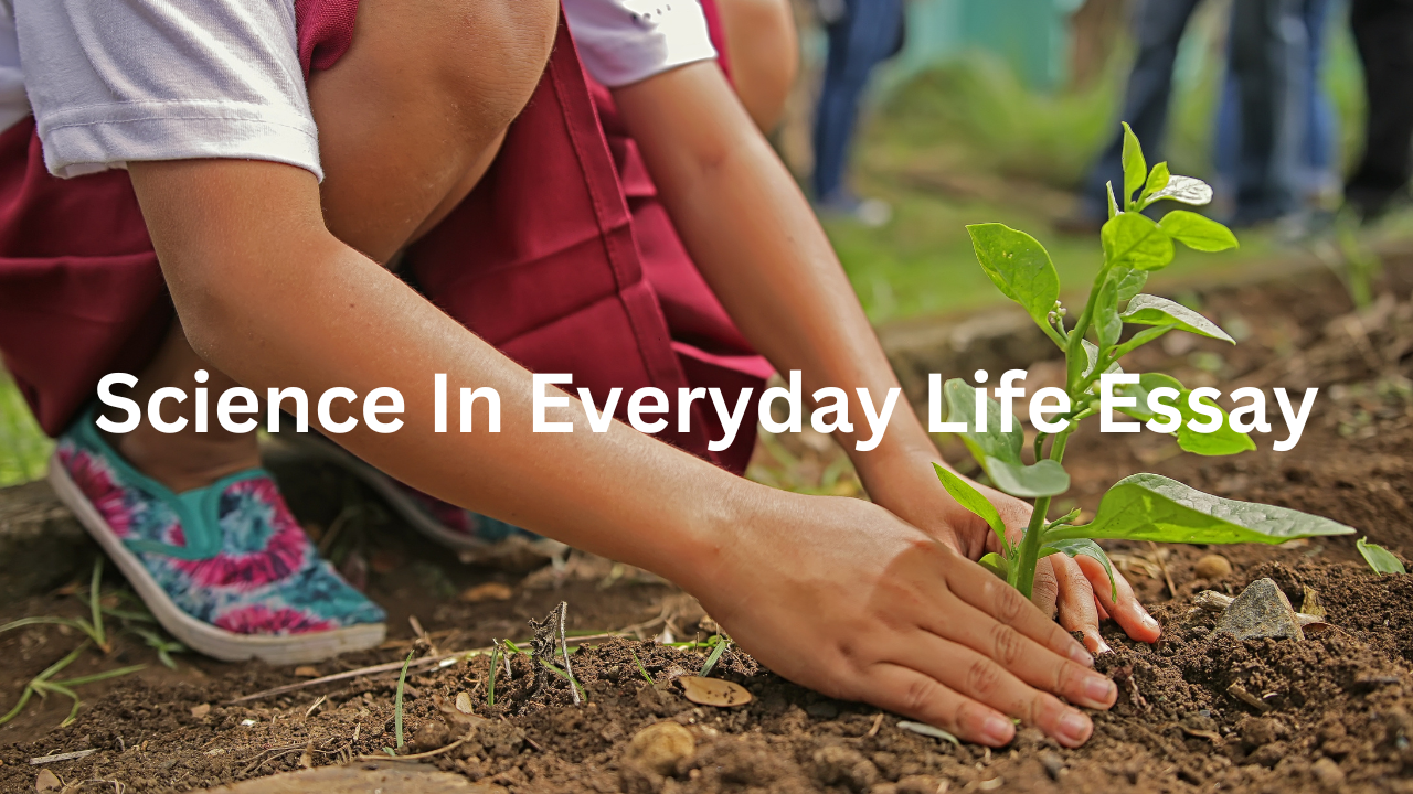 Science In Everyday Life Essay The Importance Of Science In Our Daily