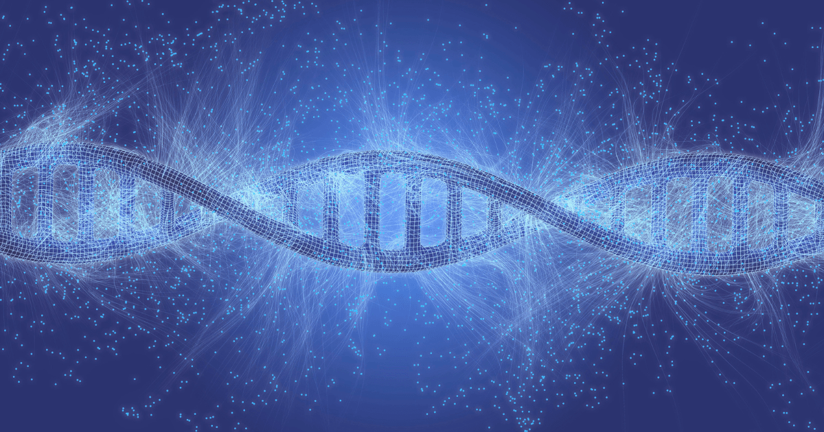 The Best Colleges for Biomedical Engineering