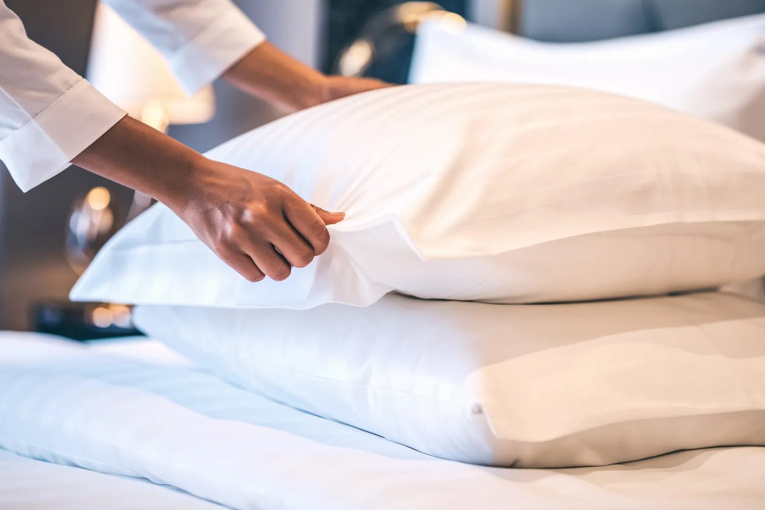 How To Fluff a Pillow 5 Easy Methods Transfer Master