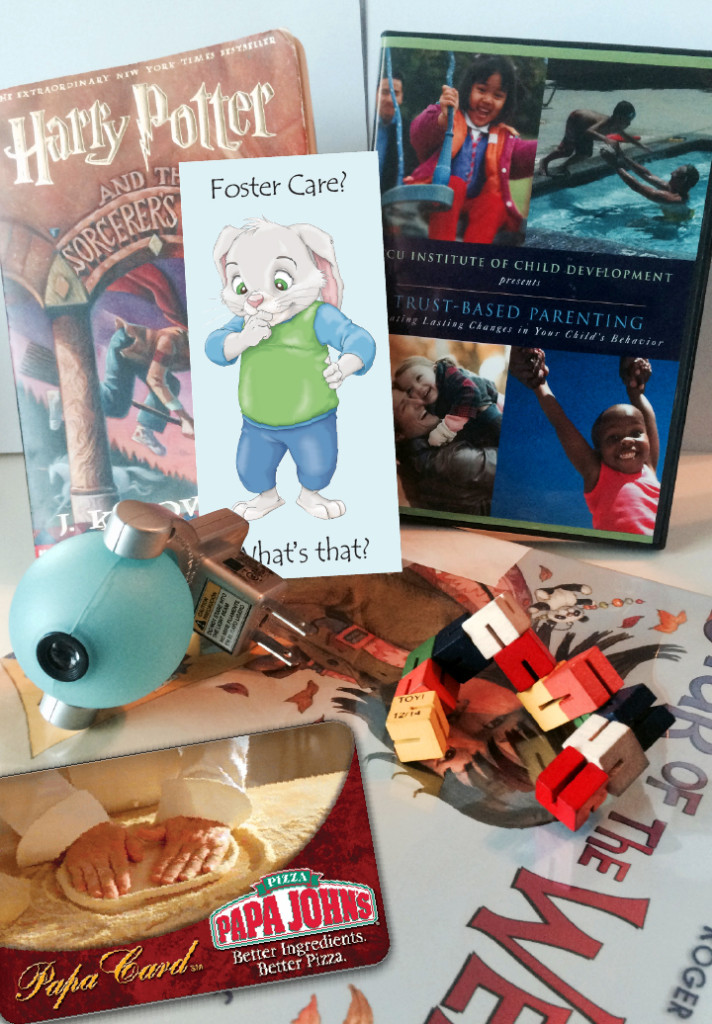 First Foster Placement Survival Kit Transfiguring Adoption
