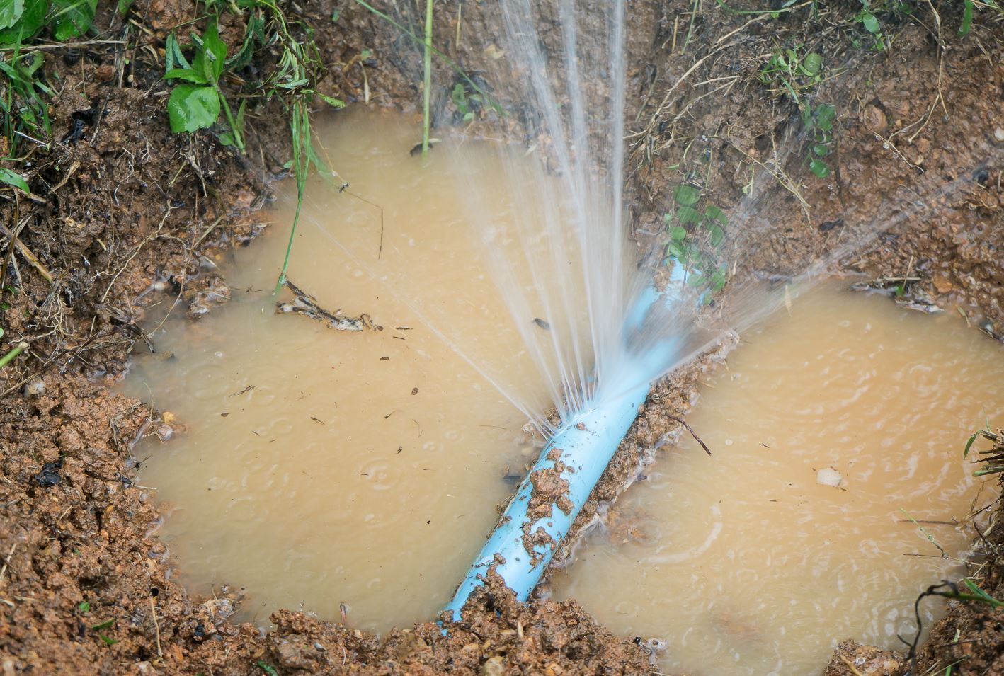 Water Leak in Front Yard | Estes Services