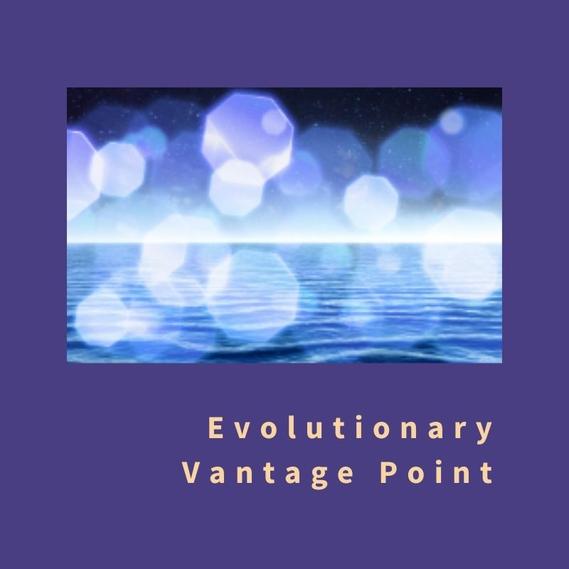 Evolutionary Vantage Point Transformative Practices
