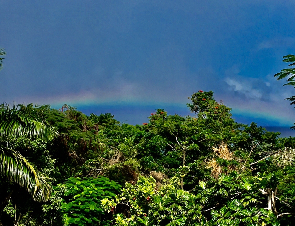 To Compartmentalize Transformative Grief