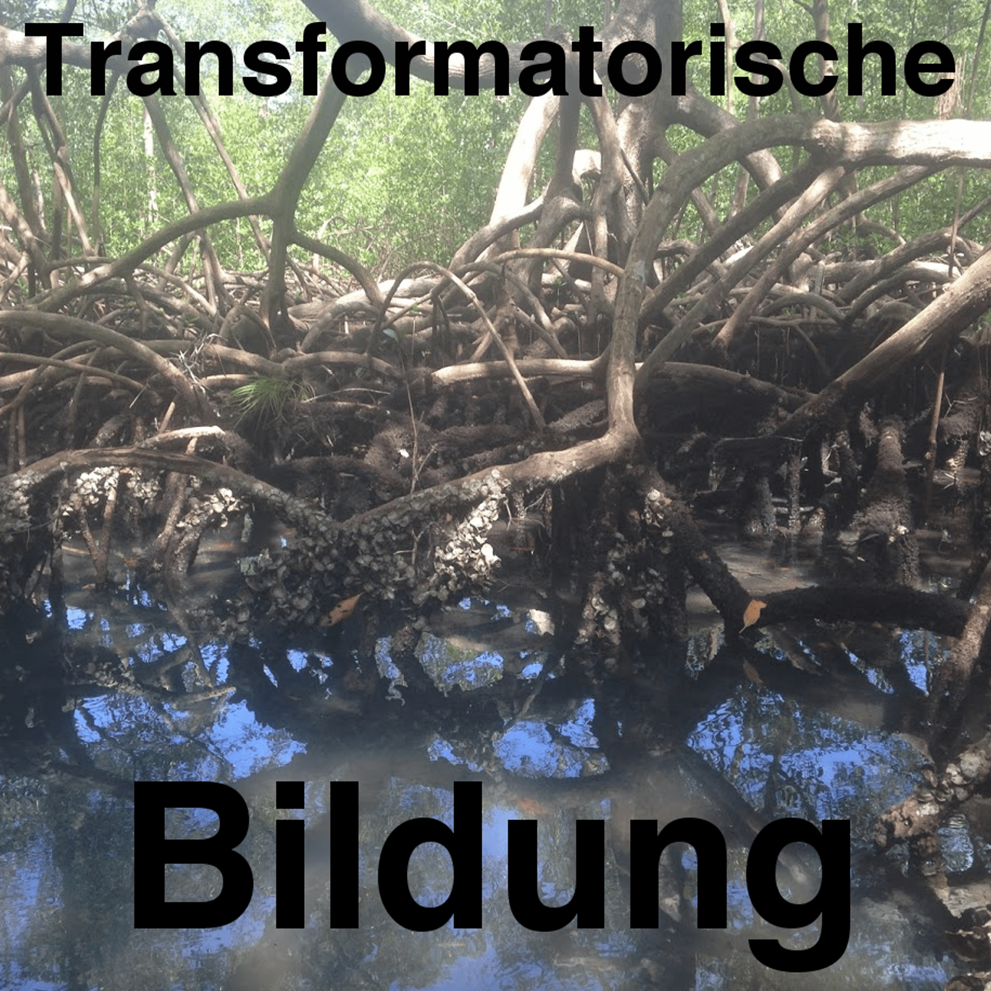 Transformatorische Bildung Folge 54 “Die Stellung des Subjekts im