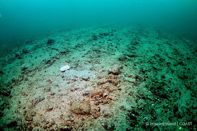 Complex seabed in tatters after scallop dredge pass Transform Bottom