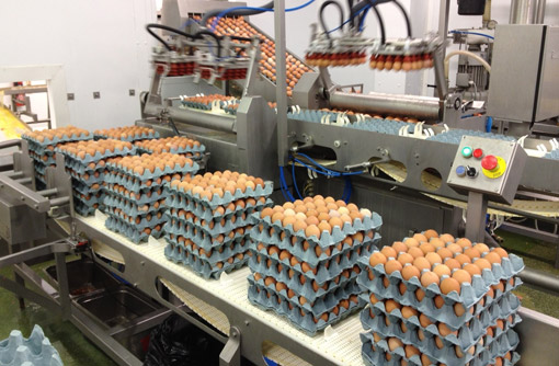 Want to leave your detractors with eggs on their faces