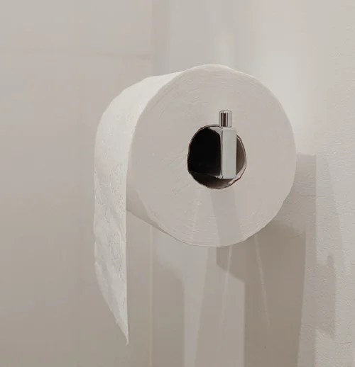 What is Toilet Paper Roll Circumference? Transform My Home