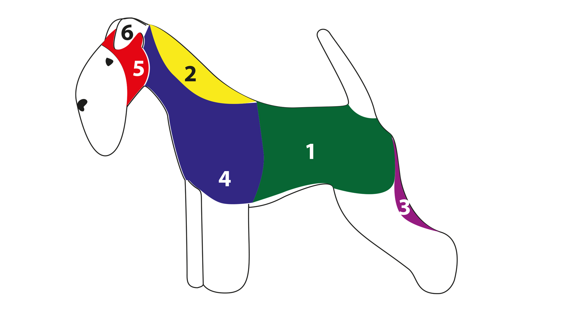How Often Should You Hand Strip A Dog