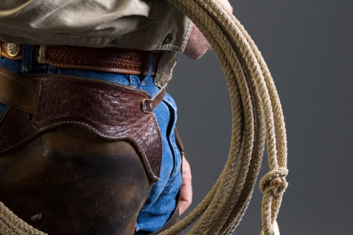 The Great Packing Harness Roundup - TransGuys.com