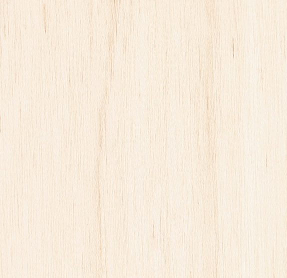 Baltic / Russian Birch Transindo USA Premium Wood & Dried Goods