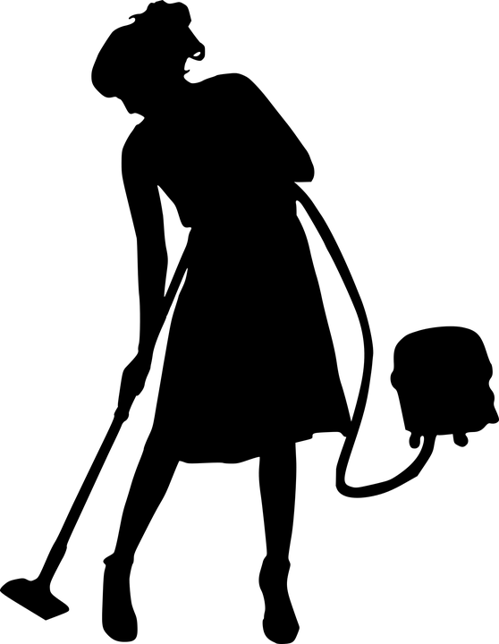 Why Go For Professional House Cleaning In Hamilton? Transitional Content