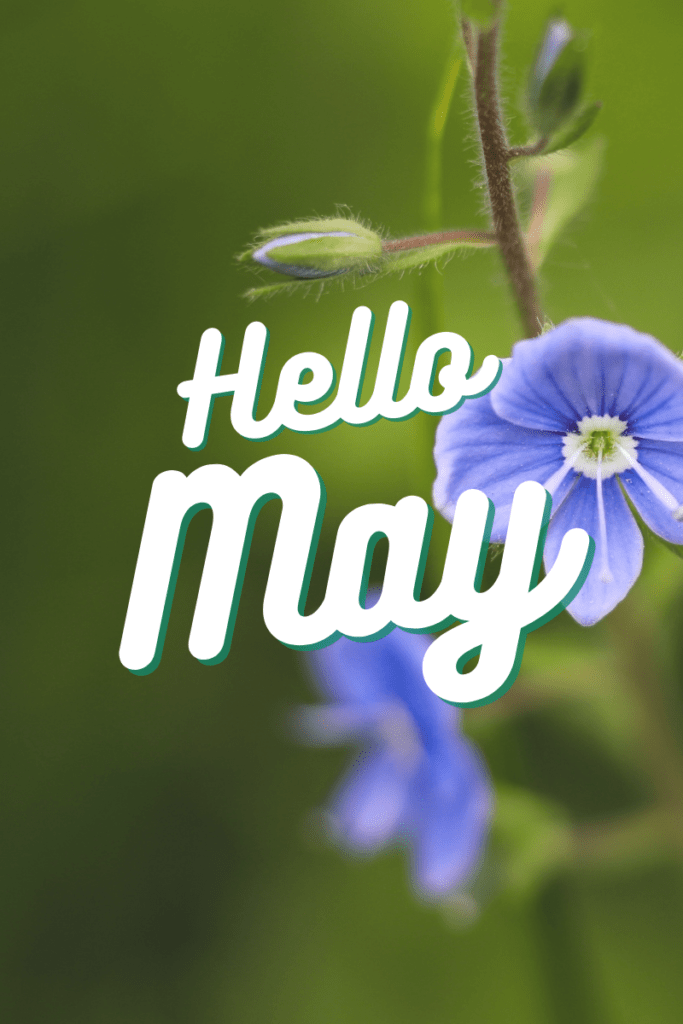 What Drives You 31 Inspirational Quotes For May Transitions and