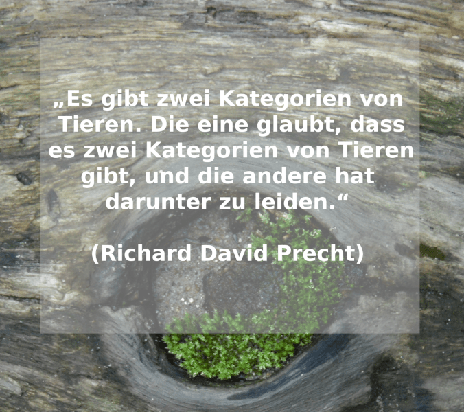 Die besten Zitate zum Thema Nachhaltigkeit TransitionsBlog