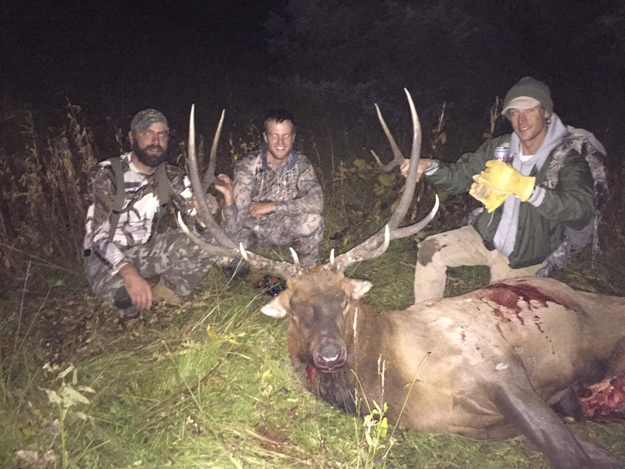 2016 Colorado Archery Elk Hunting Season Part 4 Transition Wild