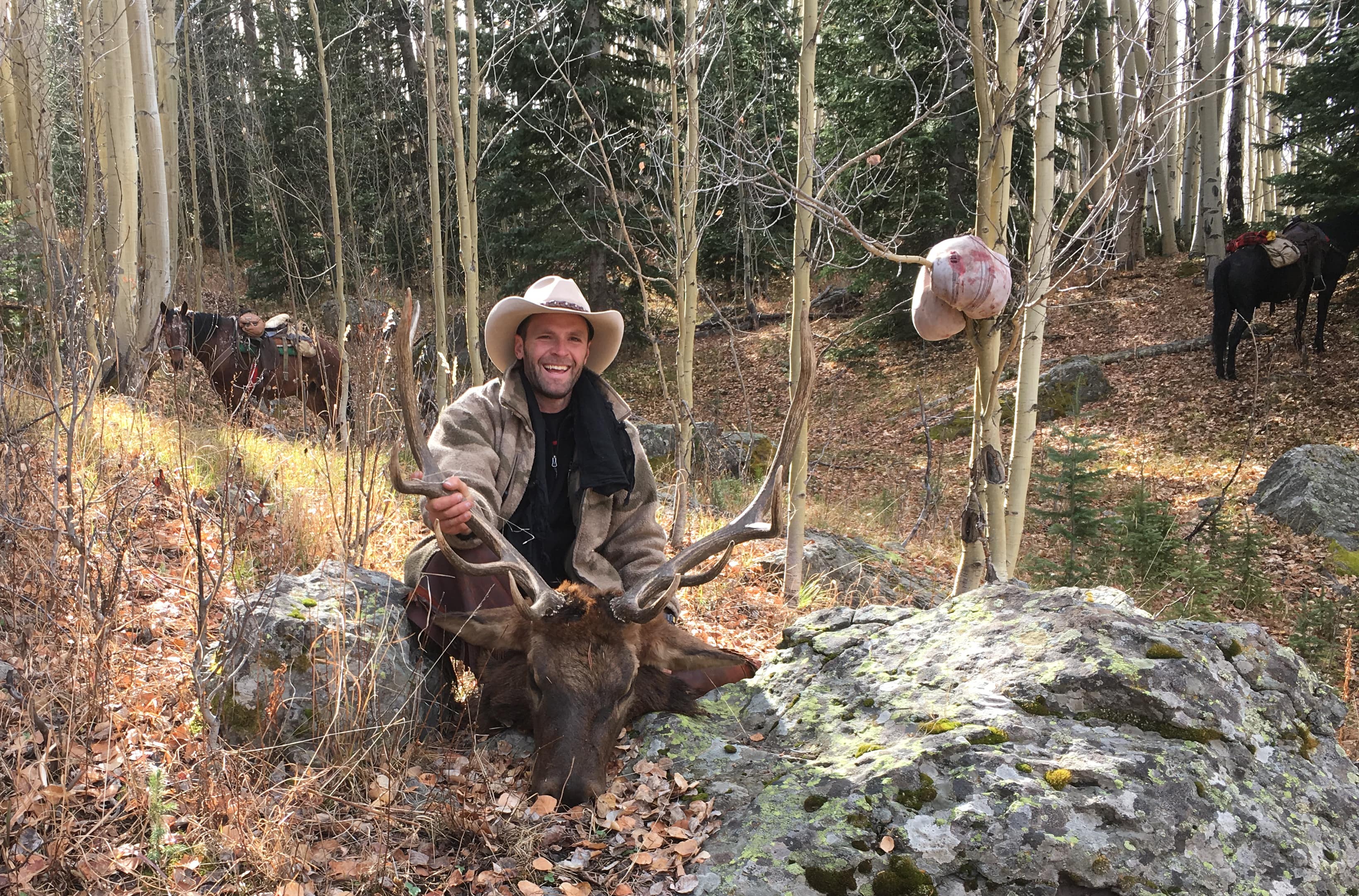 Flat Tops Colorado Elk Hunting Goimages Watch