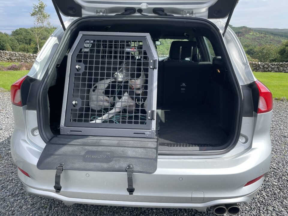 Car Dog Cages, Crates & Transit Boxes for Ford Focus Estate 2018