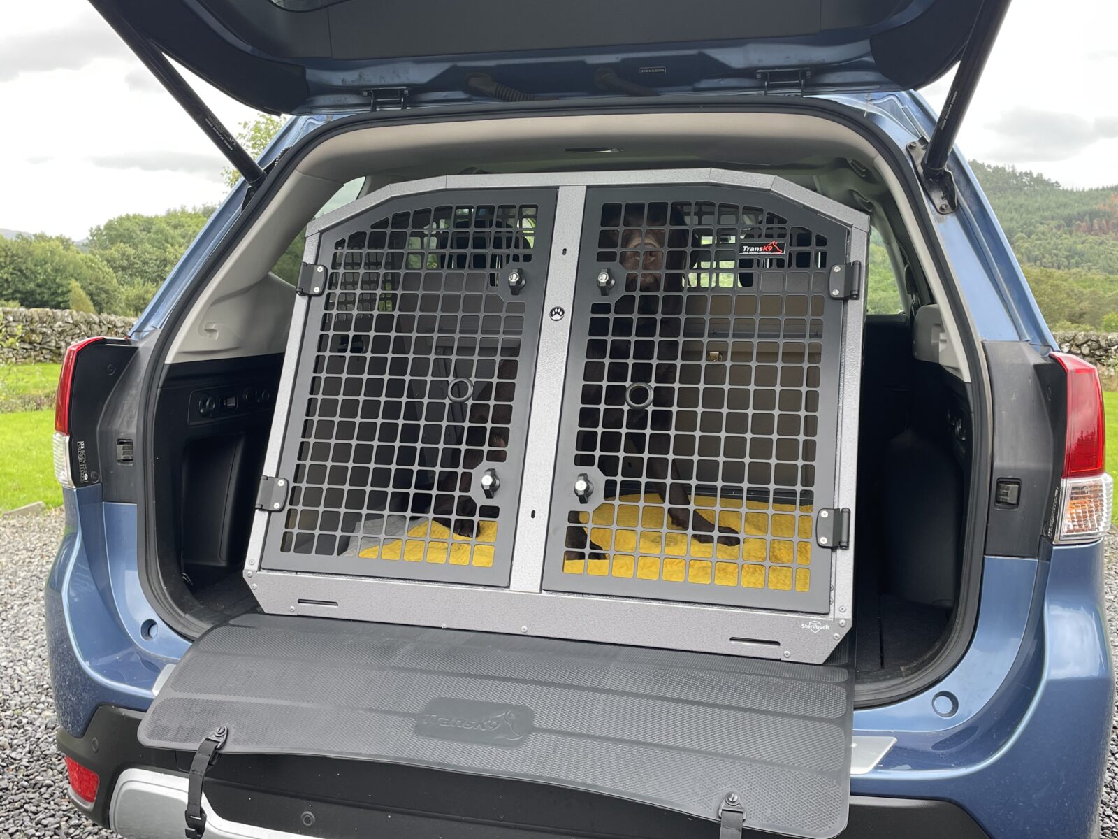 K9/C38 Double Dog Cage for BMW X3 TransK9