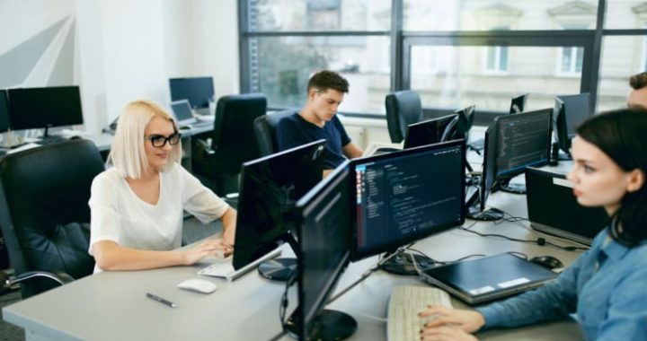 Computerprogramming Exactly What Do Software Engineers Do on a dayto