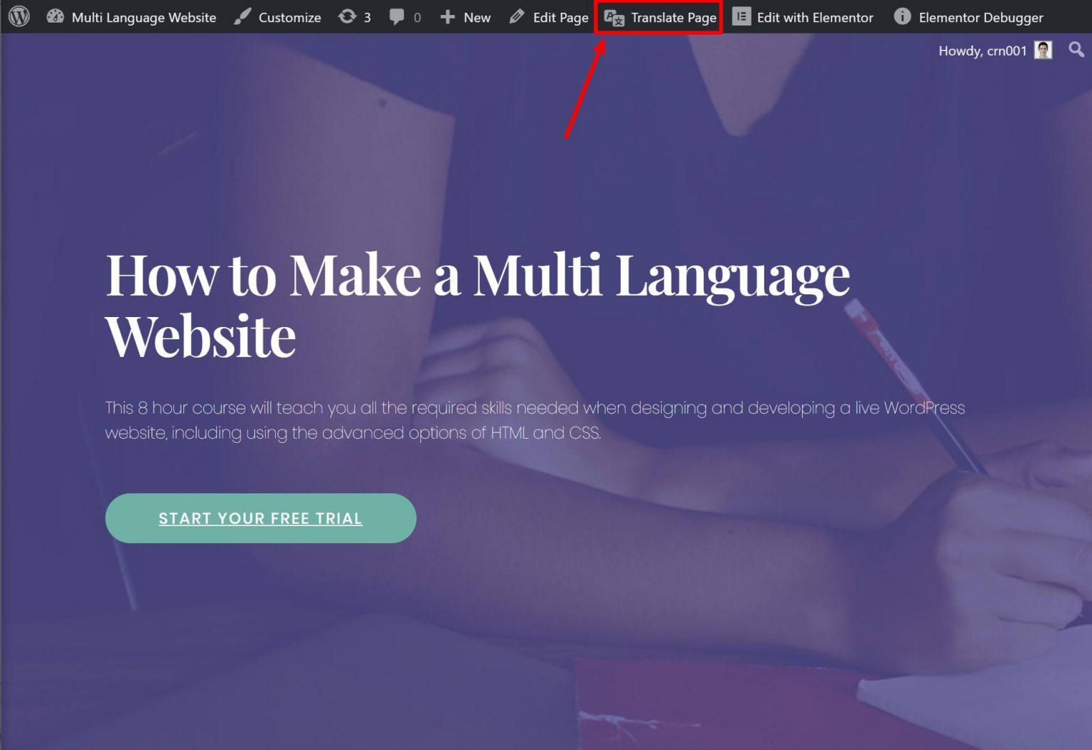 Easily Create a Multi Language site (Tutorial, Tips + Examples)