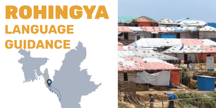 Rohingya language gender guide - Translators without Borders Rohingya language translator