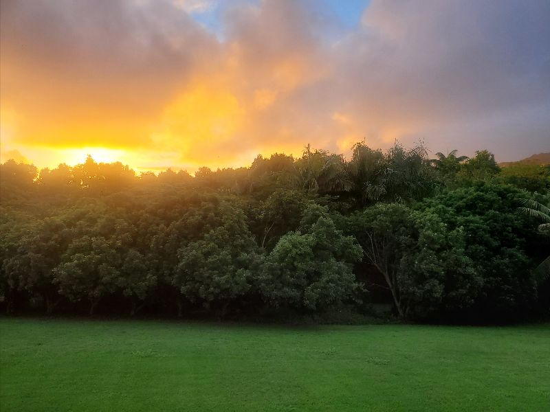 LISA BROWN Lettre de Lumière de Conscience de la NOUVELLE Terre
