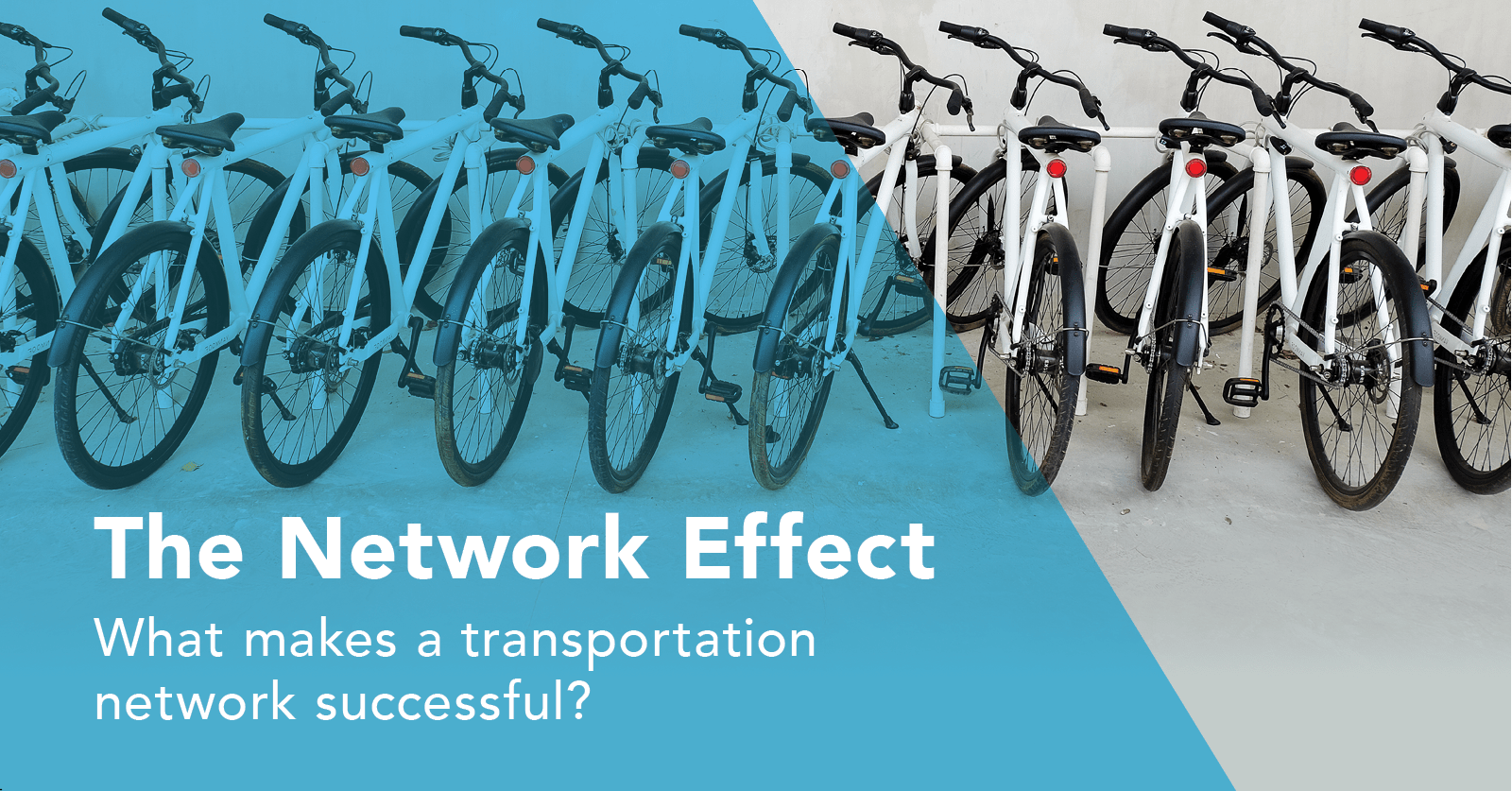 The Network Effect & Biking TransLoc