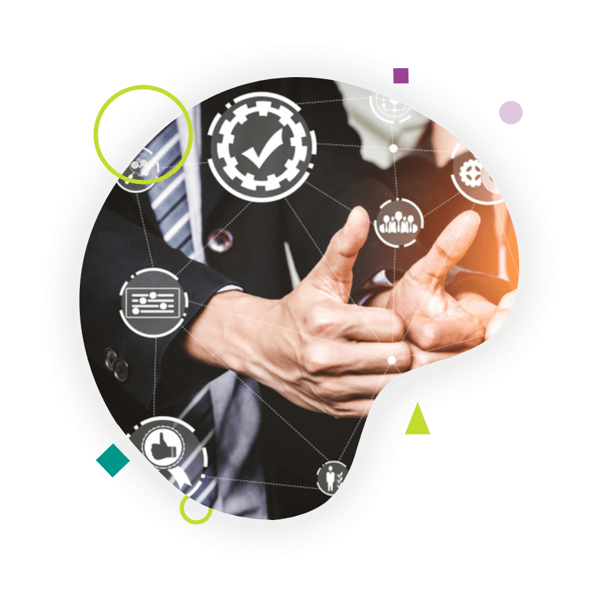 TransPalm’s Expert Language Translation Services Transpalm