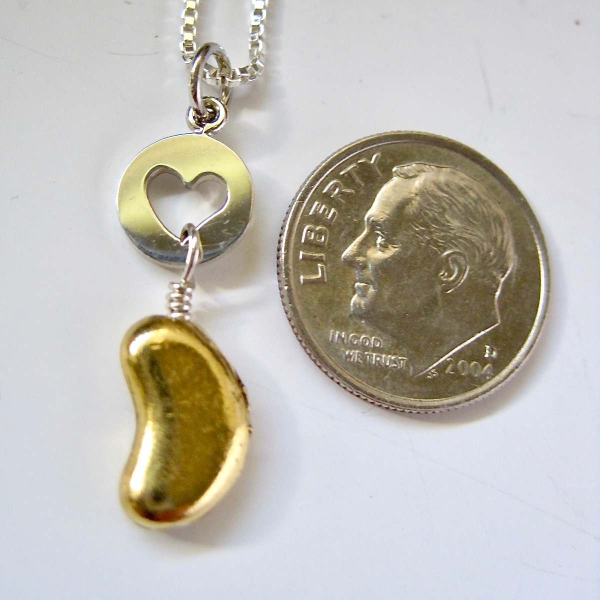 Golden Kidney and Petite Sterling Heart PendantKidney Transplant
