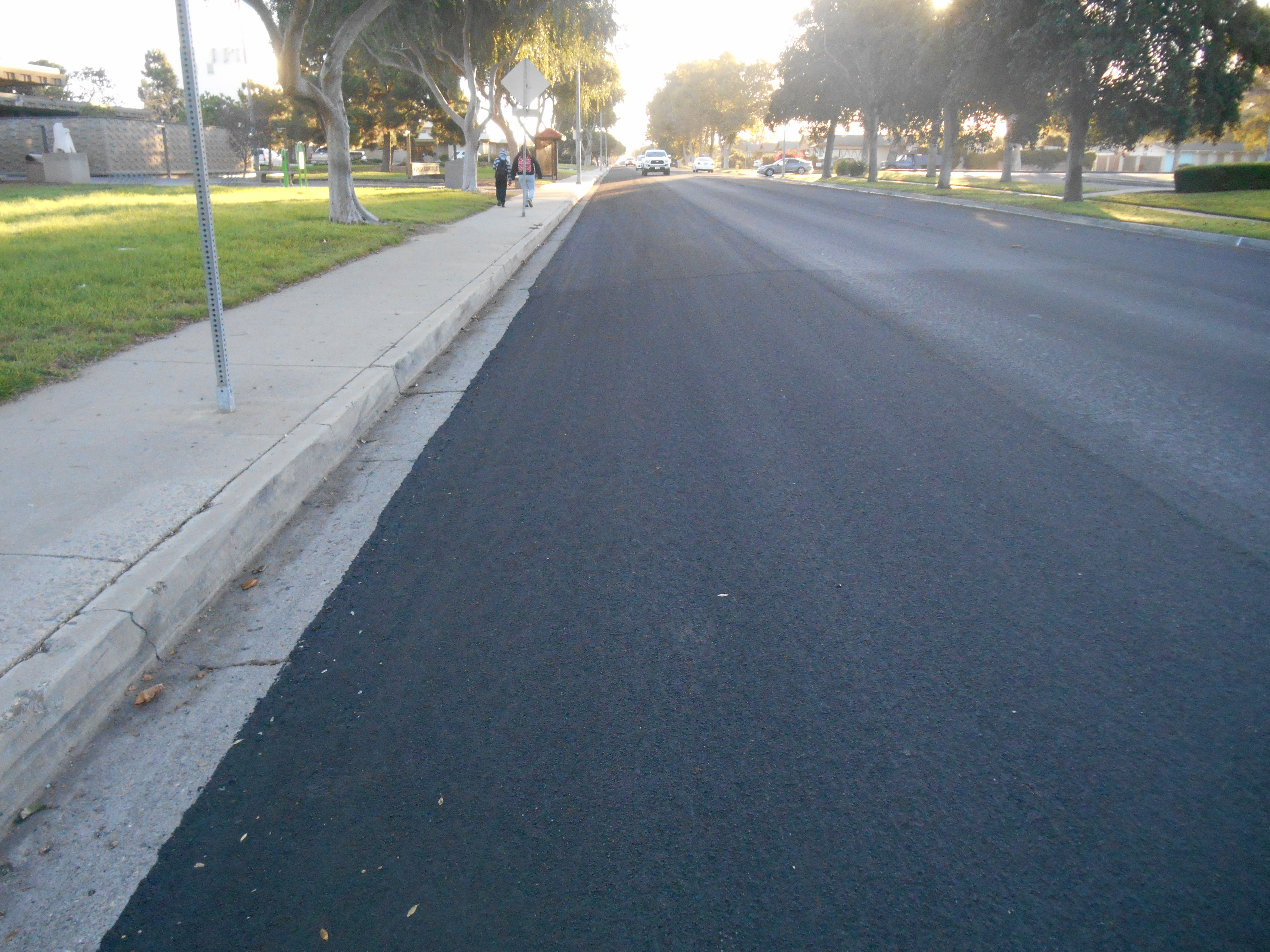 Manual for Cape Seals Transportation Institute