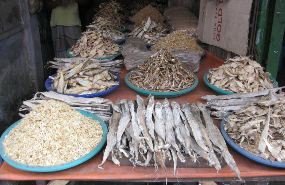 Shipping Trans World Expedition