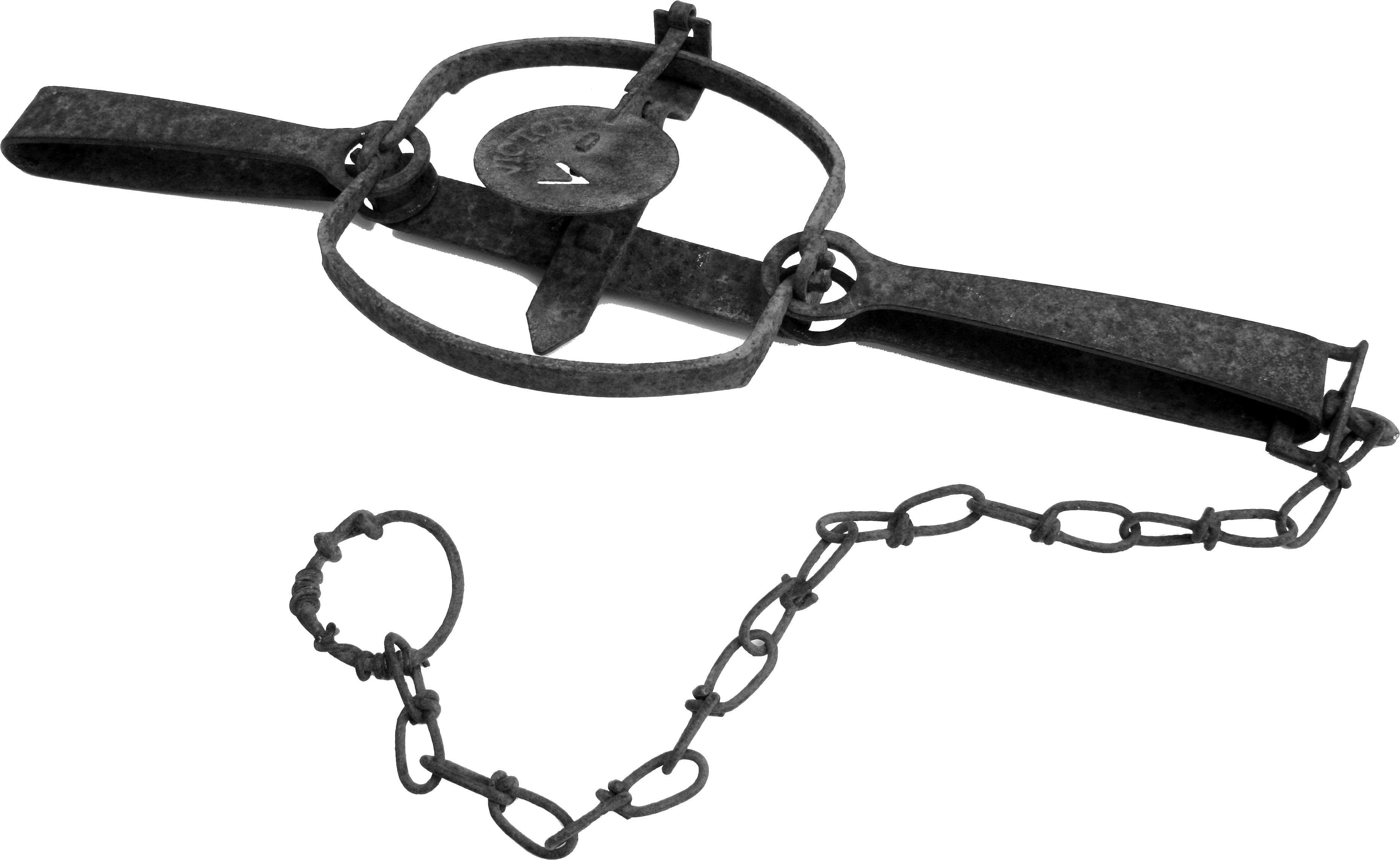 Steel jaw leg hold trap TrapFree New Mexico