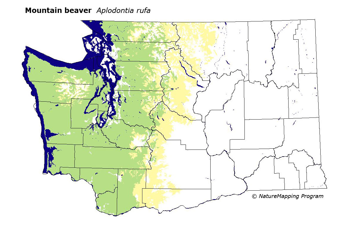 Trapper Ran Nuisance Wildlife Specialists
