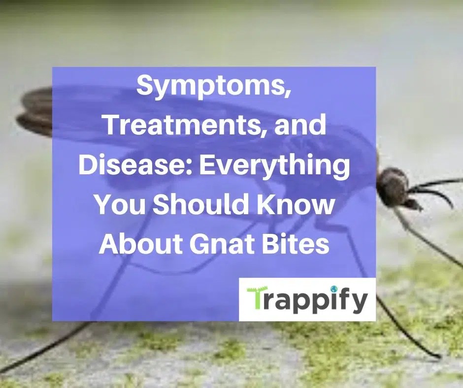 Symptoms, Treatments, and Disease Everything You Should Know