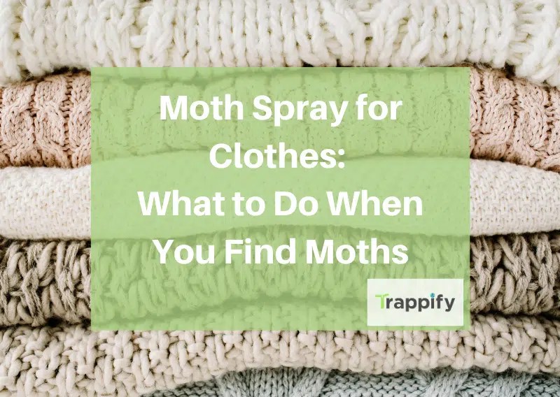 How To Store Clothes To Prevent Moths at Nadine Nava blog