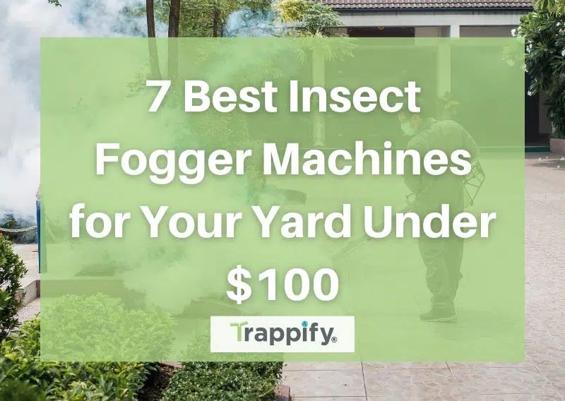7 Best Insect Fogger Machines for Your Yard Under 100