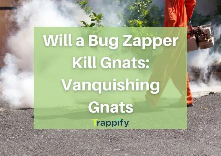 Will a Bug Zapper Kill Gnats Vanquishing Gnats