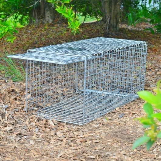 Super Cat / Bush Turkey Trap Professional Trapping Supplies
