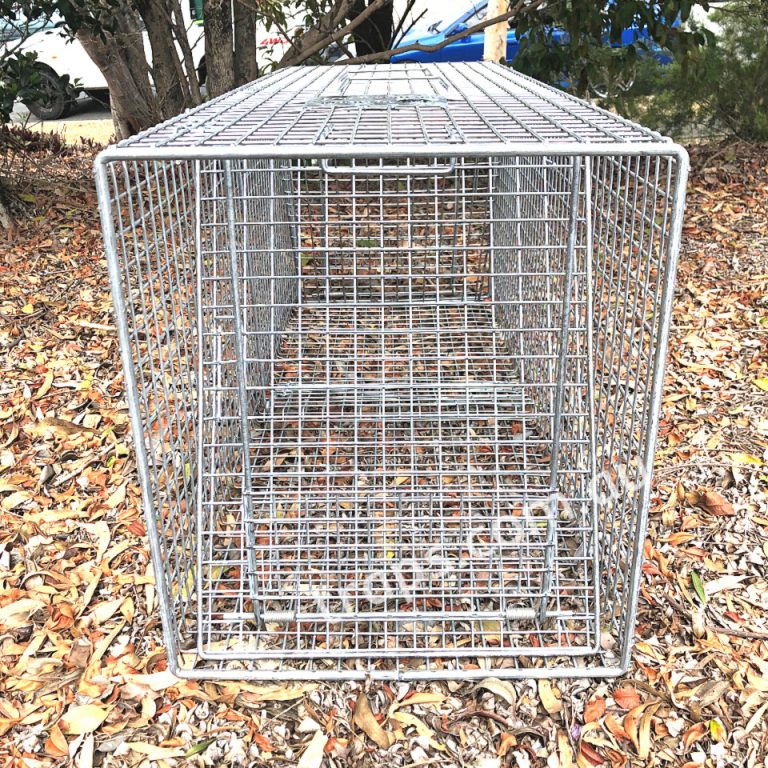 Two Door Super Cat Trap CSD4402D Professional Trapping Supplies