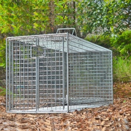 Fox Traps Professional Trapping Supplies