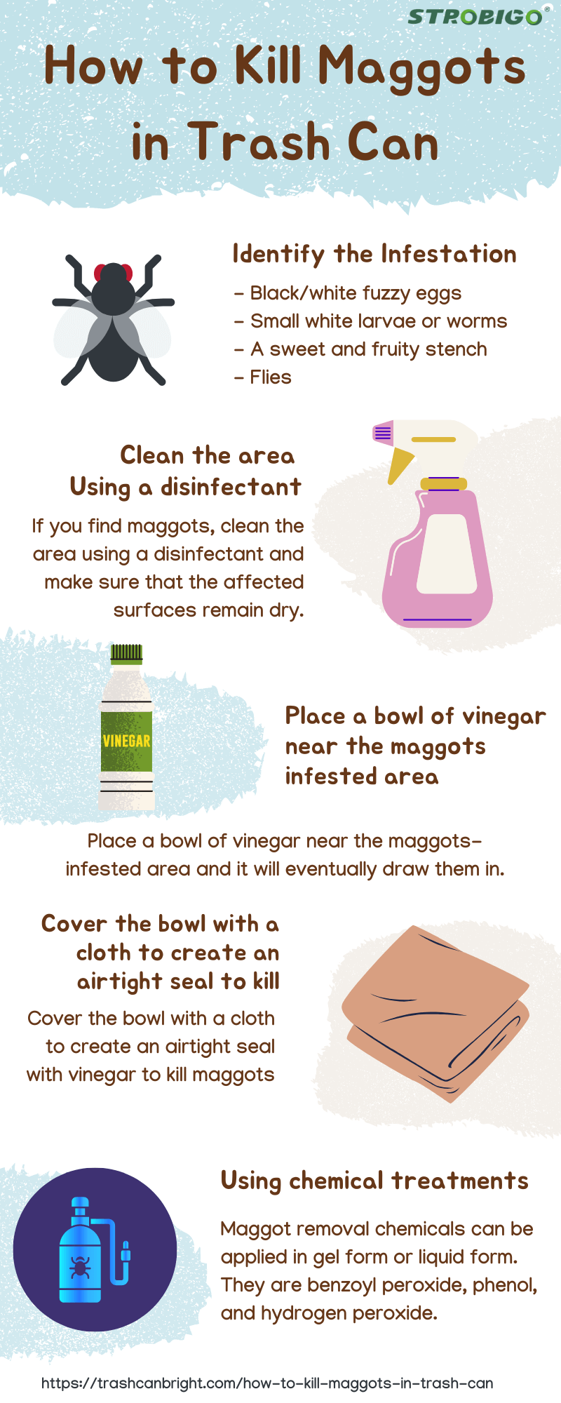 What Kills Maggots In A Bin at Brandi Burke blog