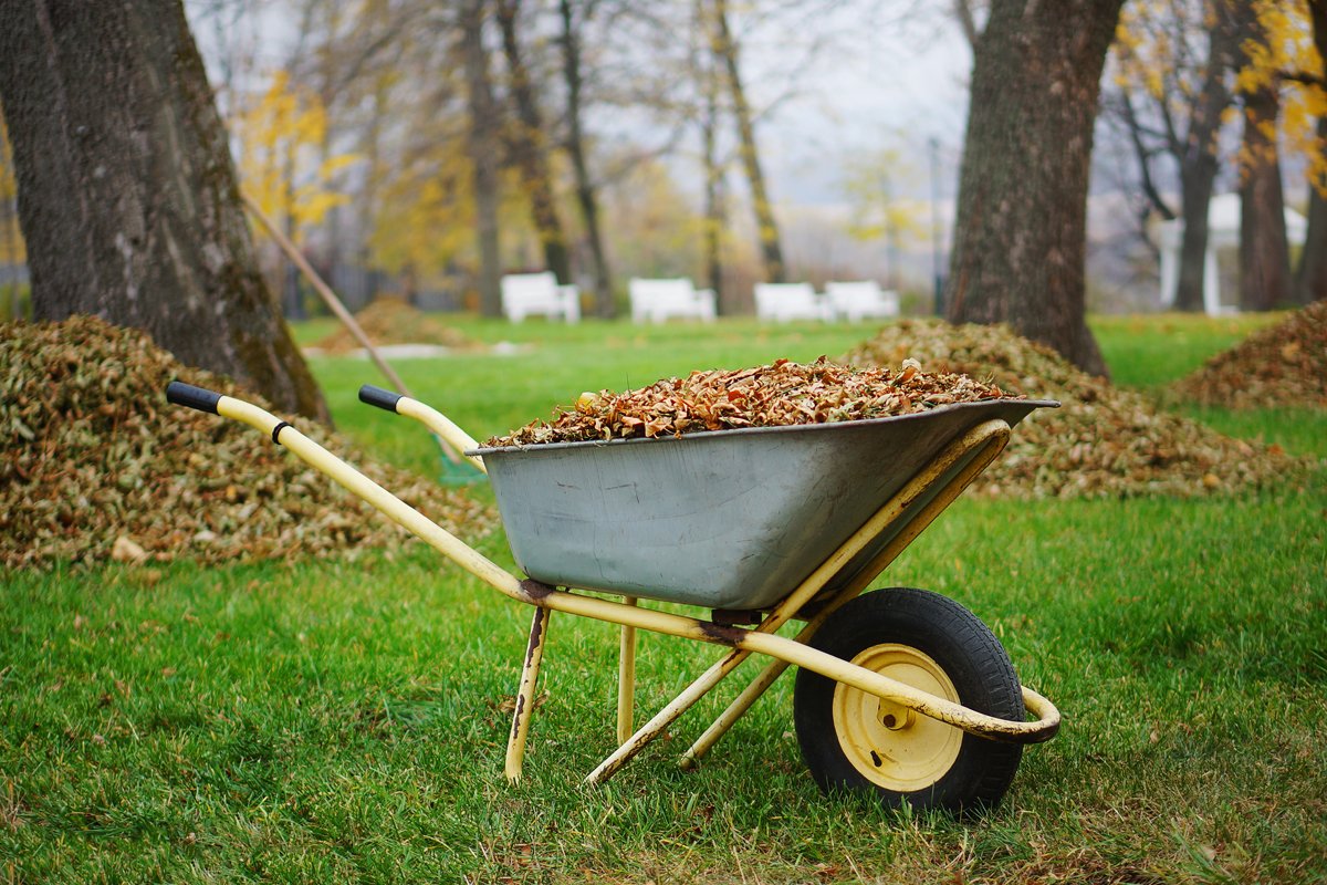 Hire a Company for Removal of Waste Services in Charleston, SC Today