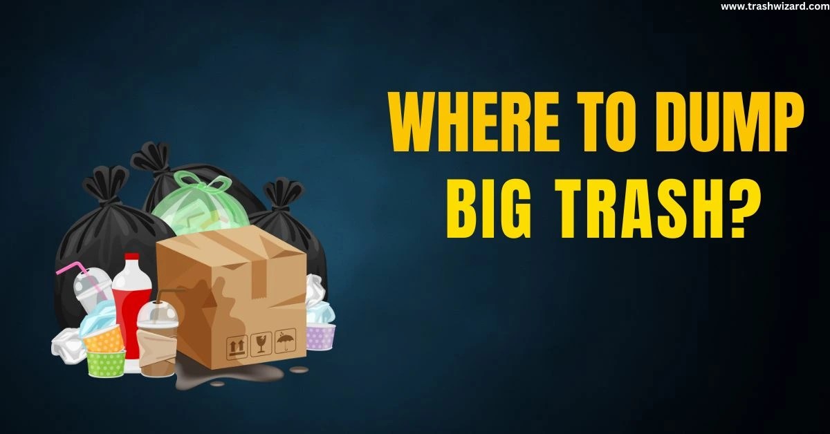 Where to dump big trash? Trash Wizard