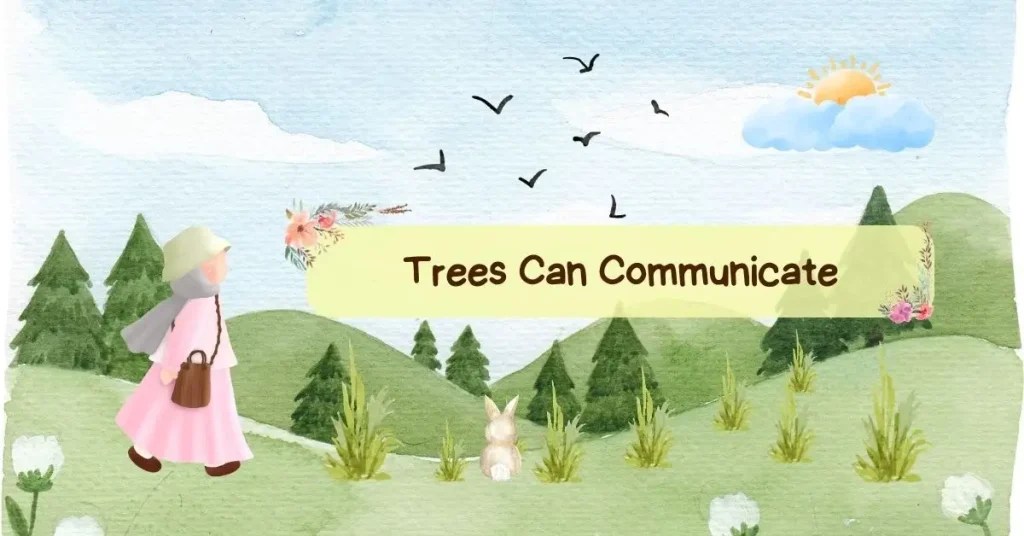 10 Amazing Tree Facts You Didn’t Know (And Why They Matter) Trash Wizard