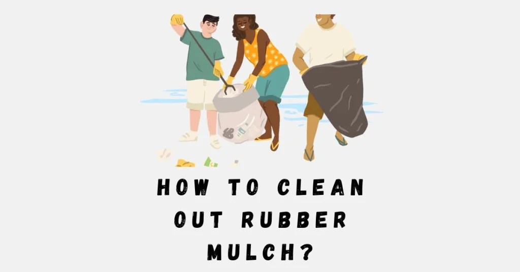 How to Dispose of Rubber Mulch? Comprehensive Guide Trash Wizard