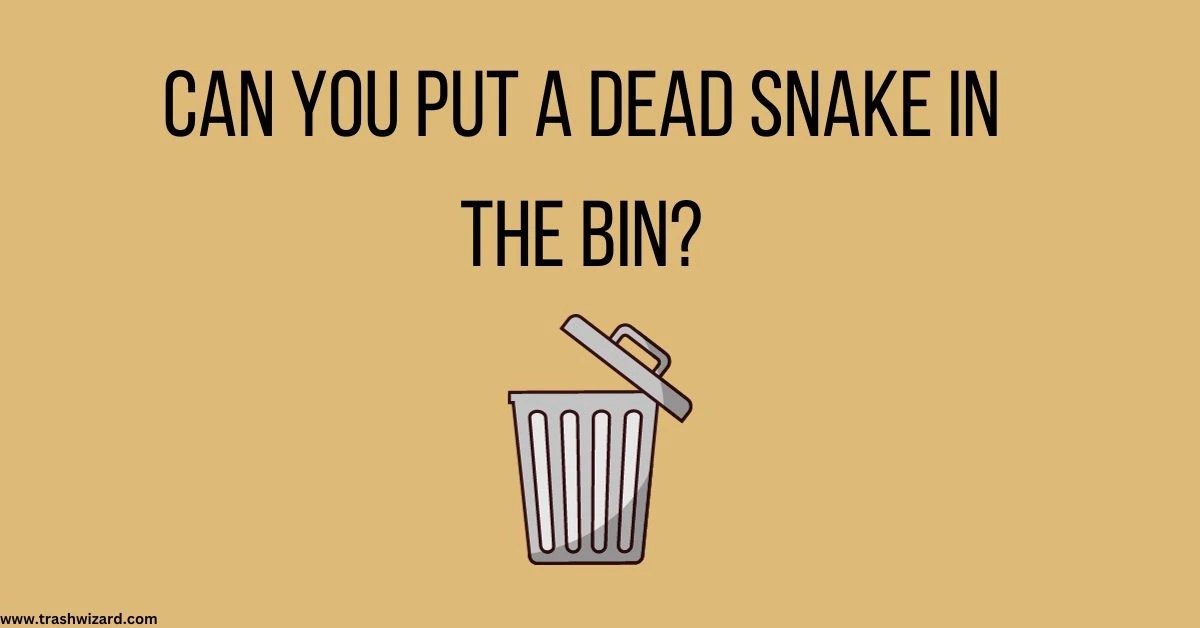 How to Dispose of a Dead Snake Safe and Respectful Methods Trash Wizard