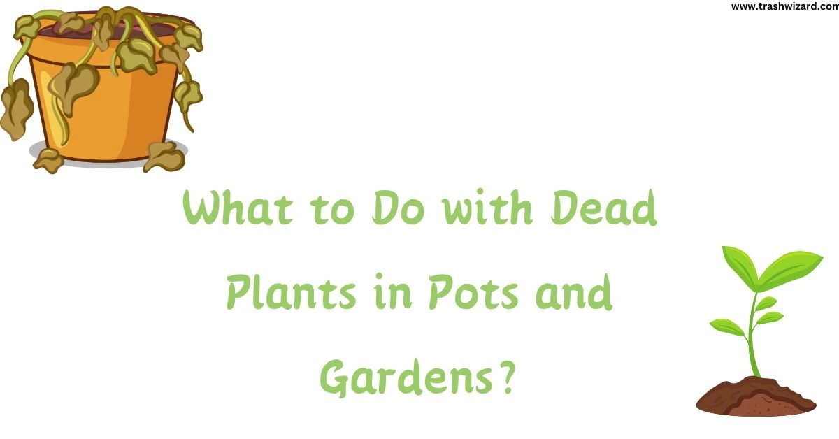 How to Dispose of Dead Plants A Comprehensive Guide Trash Wizard