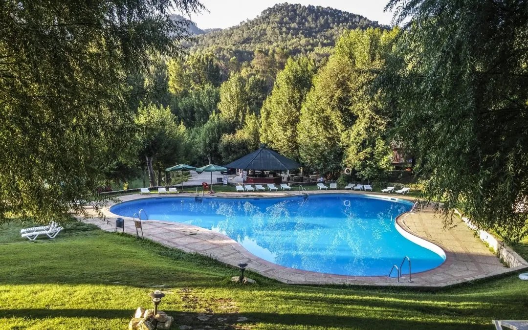 7 tips to prepare your pool for spring Trasolini Pools Ltd