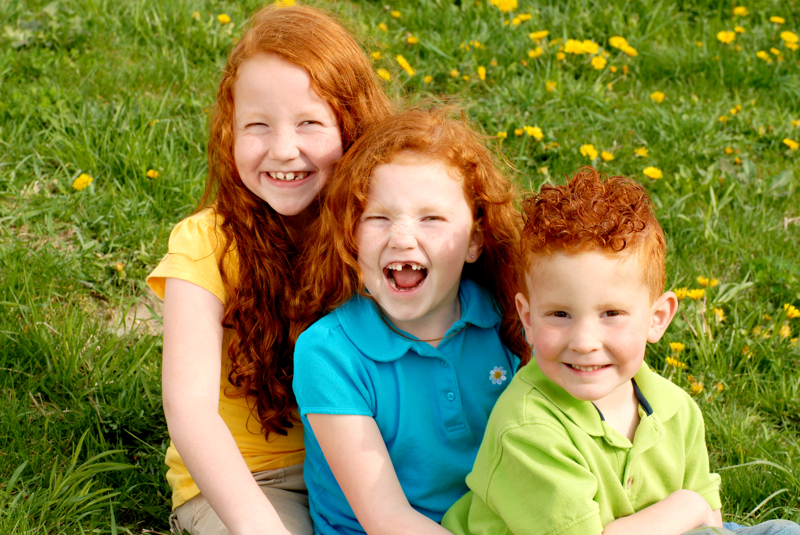 The role of siblings in children’s mental health Trauma Recovery(07)